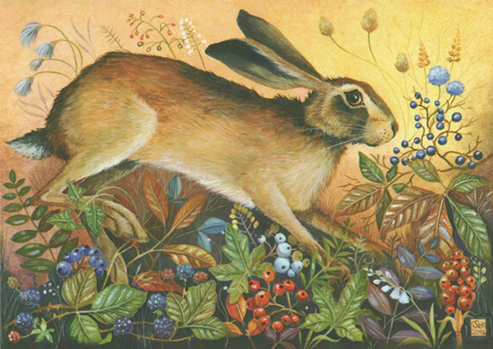 autumn hare_lg